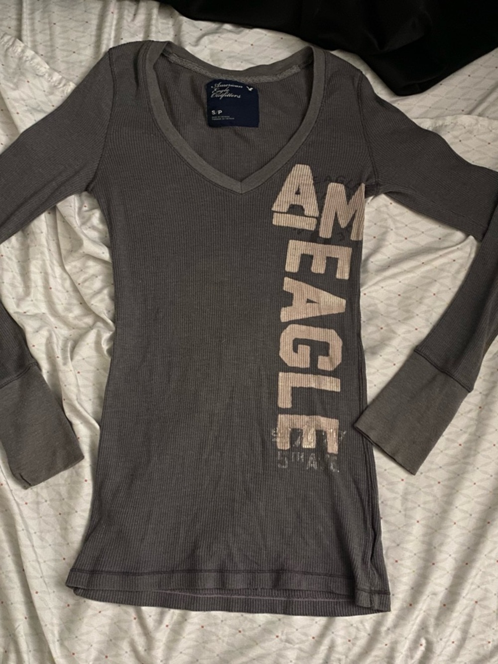 American Eagle Outfitters Gray Ribbed V-Neck Top with Beige Graphic